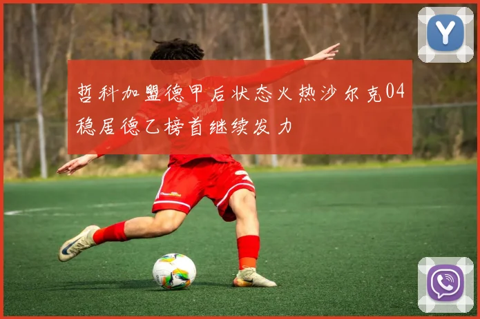 哲科加盟德甲后状态火热沙尔克04稳居德乙榜首继续发力